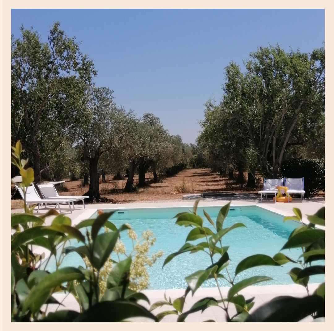 Olive trees and pool
